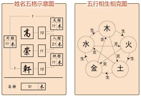 姓名 分析|名字分析